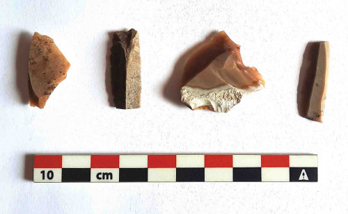 Fig. 7. Fragmente de silex din Cx1